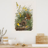 Poster Audubon Meadowlark Botank Imprimer (Cuisine)