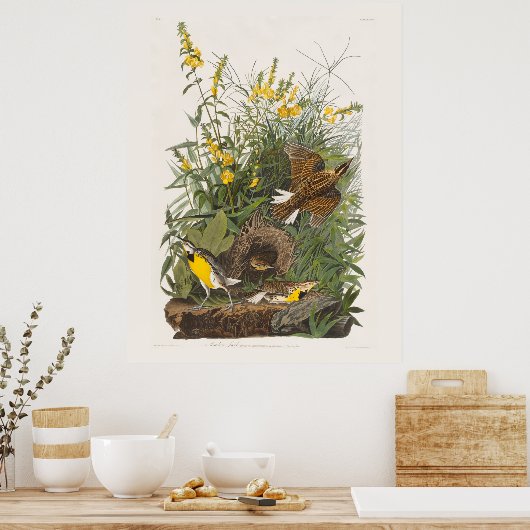 Poster Audubon Meadowlark Botank Imprimer (Cuisine)