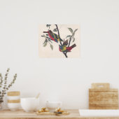 Poster Audubon Peint Bunting Bird Wildlife (Cuisine)
