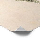 Poster Audubon Peint Bunting Bird Wildlife (Coin)