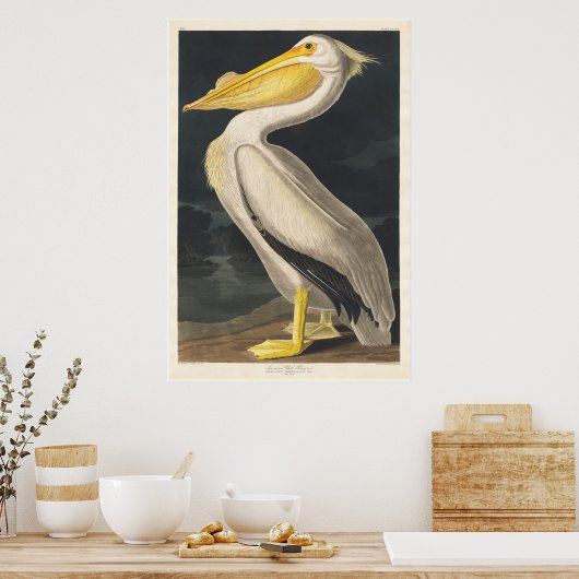 Poster Audubon Pelican (Cuisine)