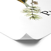 Poster Audubon Purple Finch (Coin)