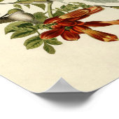 Poster Audubon Throsé de colibri (Coin)