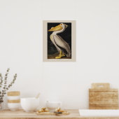 Poster Audubon White Pelican Bird Imprimer Vintage (Cuisine)