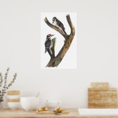 Poster Audubon Woodpecker (Cuisine)