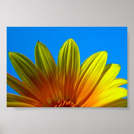 Poster Augmenter (Devant)