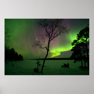 Poster Aurora