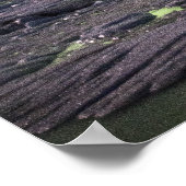 Poster Aurora au-dessus d'une lagune glaciaire (Coin)