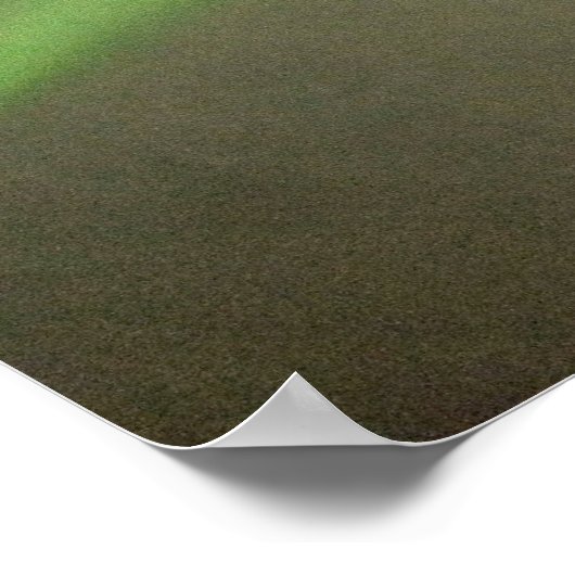 Poster Aurora Australis De L'Espace (Coin)