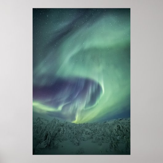 Poster Aurora Borealis (Devant)