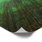 Poster Aurora Borealis Northern Lights | Fairbanks (Coin)