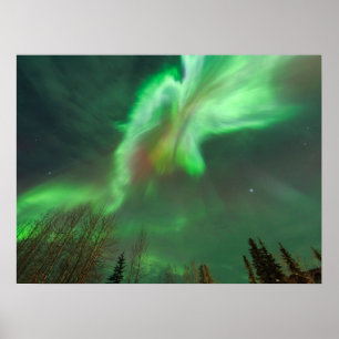 Poster Aurora Borealis Northern Lights   Fairbanks