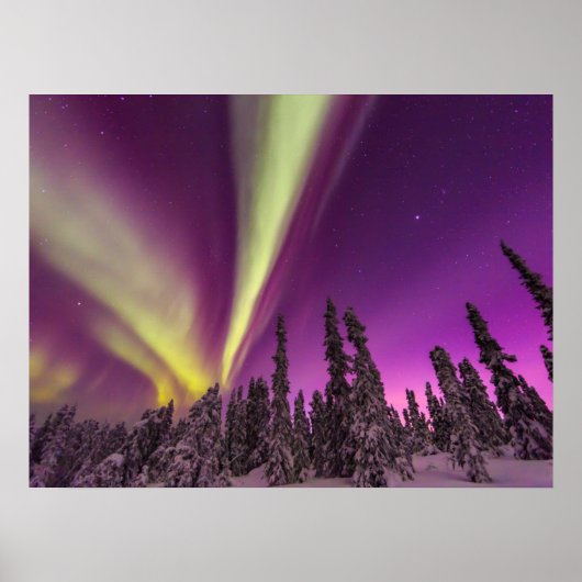 Poster Aurora Borealis Northern Lights Fairbanks Alaska (Devant)