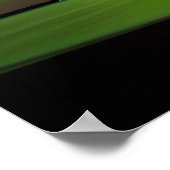 Poster Aurora Borealis sur Hammond Bay Michigan (Coin)