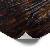 Poster AuSable dans les Adirondacks. 08 092 (Coin)