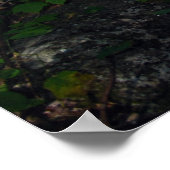 Poster AuSable dans les Adirondacks. imprimer 120 (Coin)