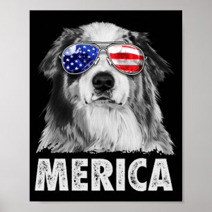 Poster Aussie berger australien 4 juillet merica