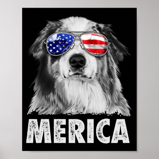 Poster Aussie berger australien 4 juillet merica (Devant)