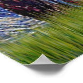 Poster Aussie Shep (Tri2) - Nuit étoilée (Coin)