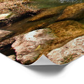 Poster Austin, Texas Barton Creek / Ladybird Lake Skyline (Coin)