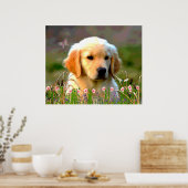 Poster Austin The Golden Labrador (Cuisine)