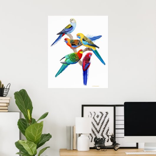 Poster Australian Rosella Parrots Imprimer (Bureau à domicile)