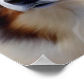 Poster Australian Shepherd (Coin)