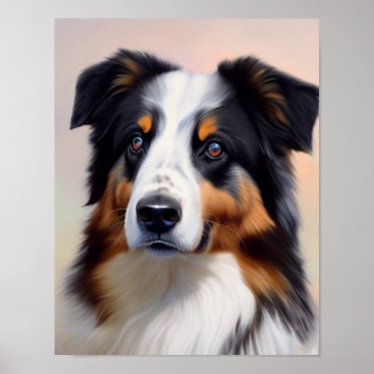 Poster Australian Shepherd (Devant)