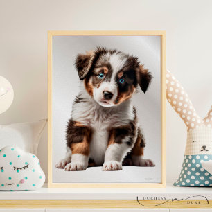 Poster Australian Shepherd Chien Chien Chien Graphique Pé