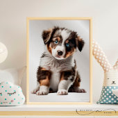 Poster Australian Shepherd Chien Chien Chien Graphique Pé