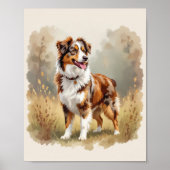Poster Australian Shepherd Dog Red Merle Aussie (Devant)