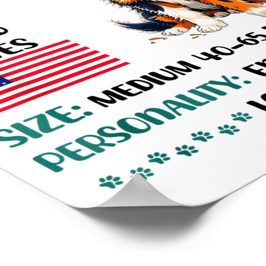 Poster Australian Shepherd Origin Funny Aussie Dog Lover  (Coin)