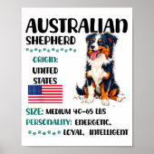 Poster Australian Shepherd Origin Funny Aussie Dog Lover  (Devant)