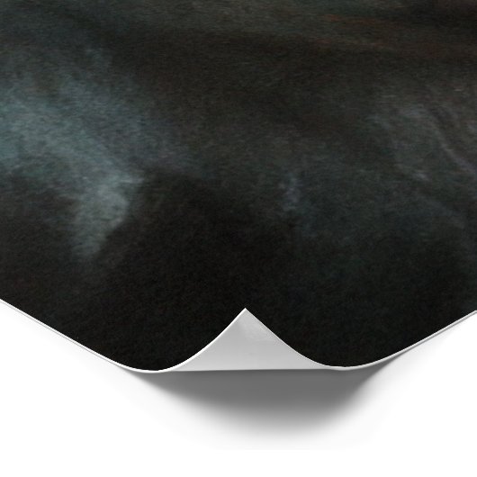 Poster Australian Shepherd - Portrait de chien (Coin)