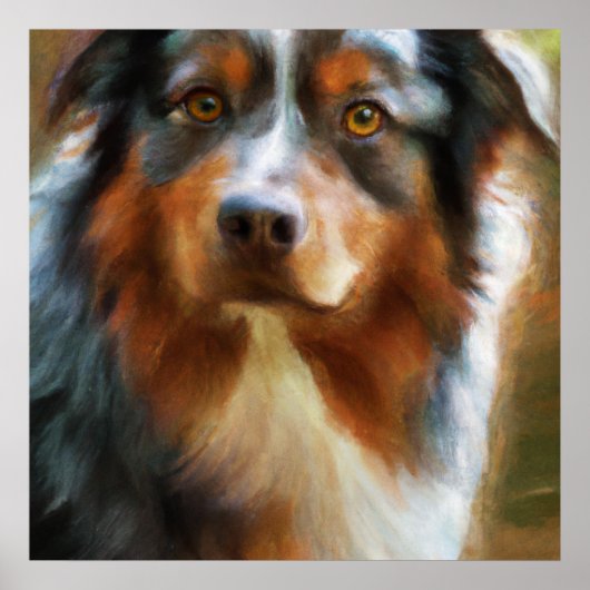Poster Australian Shepherd - Portrait de chien (Devant)
