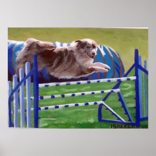 Poster Australian Shepherd'Agility Dog Portrait (Devant)