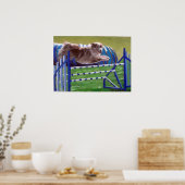 Poster Australian Shepherd'Agility Dog Portrait (Cuisine)