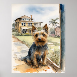 Poster Australian Silky Terrier - Chien Art Imprimer