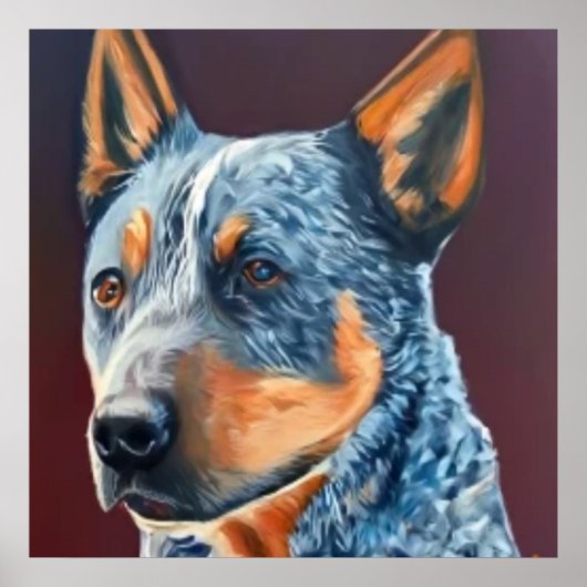 Poster Australian Stumpy Tail Cattle Dog - Portrait de ch (Devant)