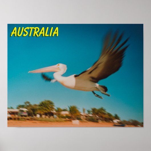 Poster Australie (Devant)