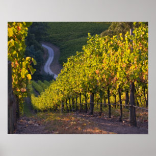 Poster Australie-Méridionale, Adelaide Hills, Summertown.