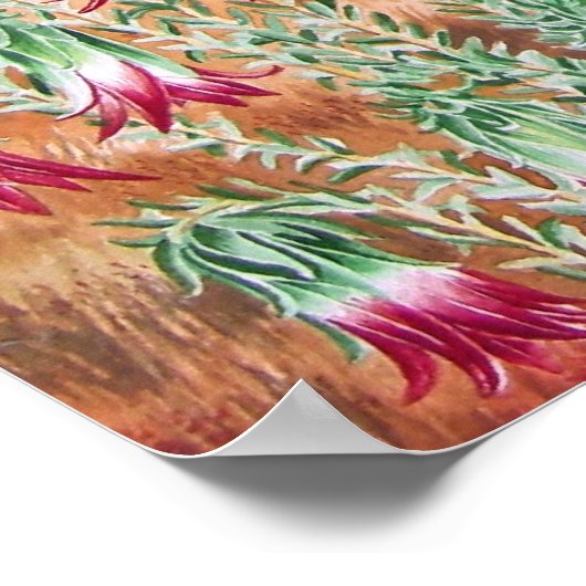 Poster Australie Outback (Coin)