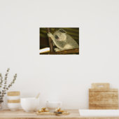 Poster Australie, Queensland, Brisbane. Arborescence des  (Cuisine)