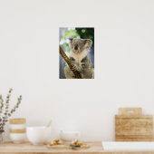 Poster Australie, Queensland, Brisbane, Fig Tree (Cuisine)