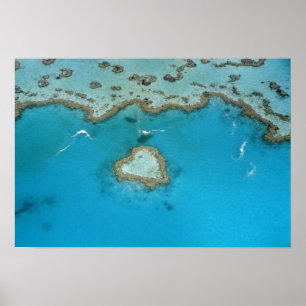 Poster Australie, Queensland, Les îles Whitsunday,