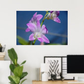 Poster Australie, Territoires du Nord, Darwin (Bureau à domicile)