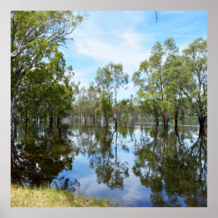Poster Australie The River Murray,