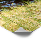 Poster Australie The River Murray, (Coin)