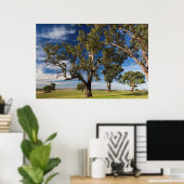 Poster Australie, Vallée de Barossa, Mont Pleasant (Bureau à domicile)
