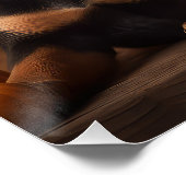 Poster Australien Kelpie Puppy Citrouille de plaisir d'au (Coin)